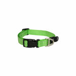 Voir l’image dans la galerie, ROGZ Collier Landing Strip Multi-Usage XXL Vert Citron