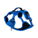 Voir l’image dans la galerie, ROGZ Harnais Explorer Multi-Usage M Bleu