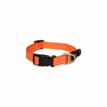Voir l’image dans la galerie, ROGZ Collier Multi-Usage XS Orange
