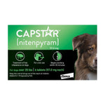 Voir l’image dans la galerie, CAPSTAR Comprimés Grands Chiens x6