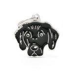Voir l’image dans la galerie, MFC Friends Retriever à Poil Plat