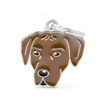 Voir l’image dans la galerie, MFC Friends Rhodesian Ridgeback