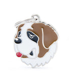 Voir l’image dans la galerie, MFC Friends Saint-Bernard