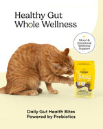 Voir l’image dans la galerie, Crumps' Naturals Gutsy - Joyeuses Bouchées - Gâteries Tendres pour Chats