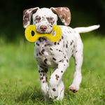 Voir l’image dans la galerie, Nerf Dog - Jouet Scentology Tug au Beurre d'Arachide pour Chiens