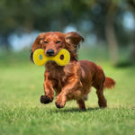 Voir l’image dans la galerie, Nerf Dog - Jouet Scentology Tug au Beurre d'Arachide pour Chiens