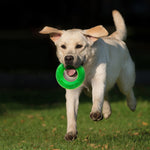 Voir l’image dans la galerie, Nerf Dog - Jouet Scentology Tug à l'Agneau pour Chiens