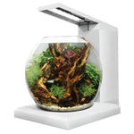 Voir l’image dans la galerie, Fluval Flex - Aquarium Équipé Liv Miniature - Aquarium pour Poissons