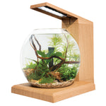 Voir l’image dans la galerie, Fluval Flex - Aquarium Équipé Liv Miniature - Aquarium pour Poissons