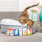 Voir l’image dans la galerie, Kittybelles - Pot de Beurre d'Arachide Snif avec Herbe à Chat - Jouet en Peluche Froissé pour Chats