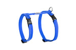 Voir l’image dans la galerie, *RCP Chat Harnais Base L 14-22" Bleu Royal