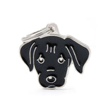 Voir l’image dans la galerie, MFC Friends Labrador Noir