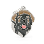 Voir l’image dans la galerie, My Family - Friends Léonberger - Médaille d'Identité pour Chiens