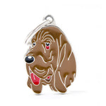 Voir l’image dans la galerie, MFC Friends Chien de Saint-Hubert