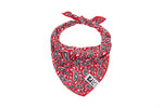 Voir l’image dans la galerie, RC Pets - Bandana Rafraîchissant Zephyr Rouge Rebelle - Bandana pour Chiens
