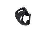 Voir l’image dans la galerie, RC Pets - Petit Harnais Explorateur Noir - Harnais pour Chiens