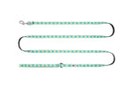 Voir l’image dans la galerie, RC Pets - Petite Laisse à Motifs 1/2" x 72" Parade d'Ananas - Laisse pour Chiens