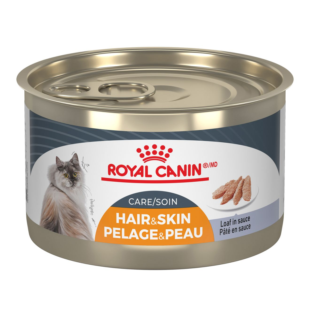 Royal Canin - Soin Pelage et Peau - Pâté en Sauce - Nourriture Humide pour Chats