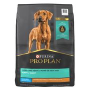 Purina Pro Plan - Bouchées Poulet et Riz - Nourriture Sèche pour Chiots de Grandes Races
