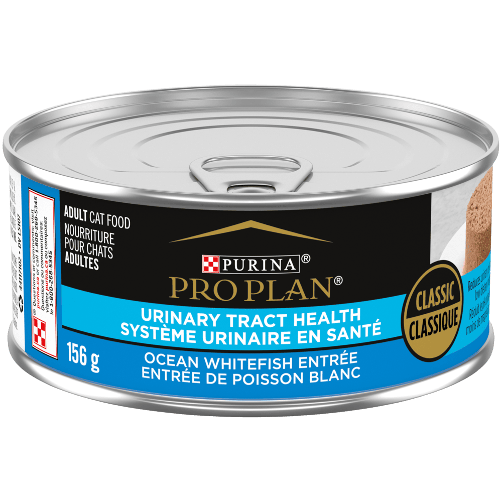Purina Pro Plan Classique - Système Urinaire en Santé - Entrée de Poisson Blanc - Nourriture Humide pour Chats Adultes
