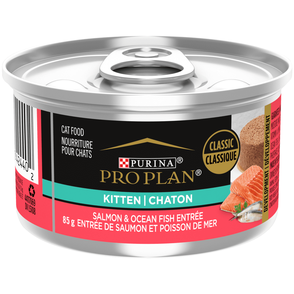 Purina Pro Plan - Chaton Pâté de Saumon et Poisson de Mer - Nourriture Humide pour Chats