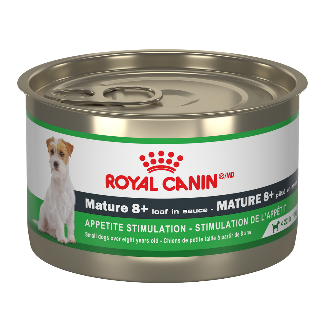 Royal Canin - Stimulation de l'Appétit - Pâté en Sauce - Nourriture Humide pour Chiens Mature 8+ Ans