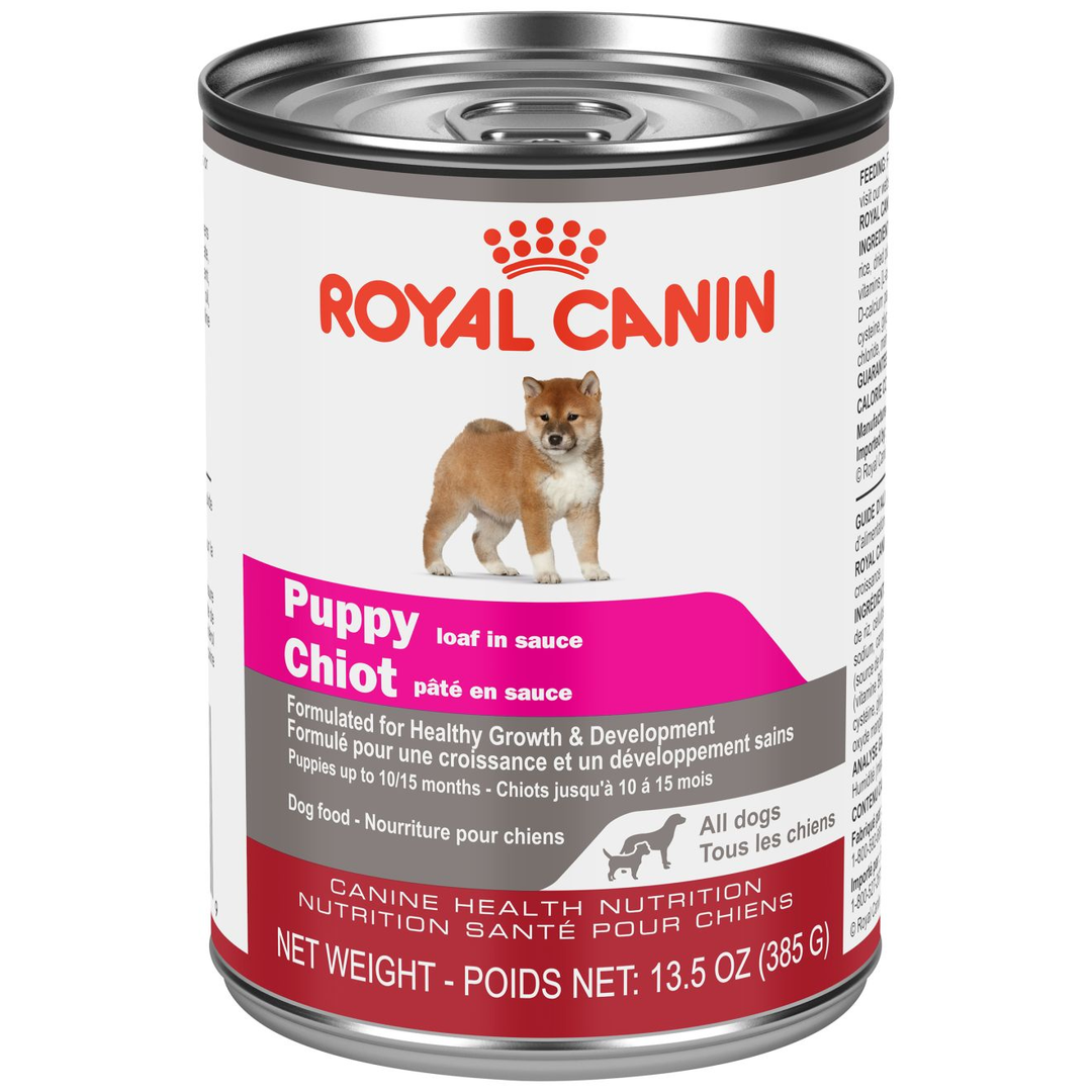 Royal Canin - Pâté en Sauce - Nourriture Humide pour Chiots de Petite Taille