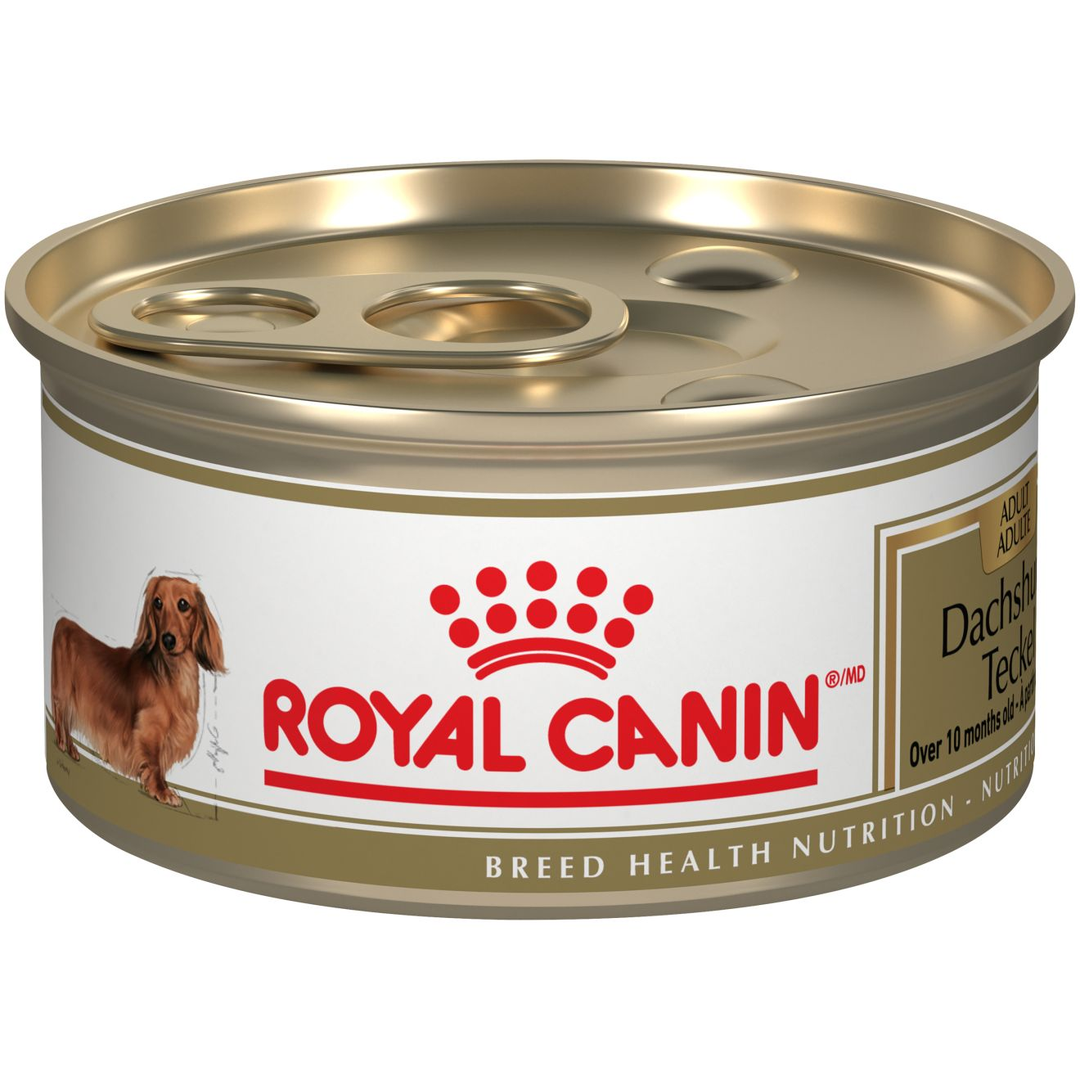 Royal Canin - Teckel - Pâté en Sauce - Nourriture Humide pour Chiens