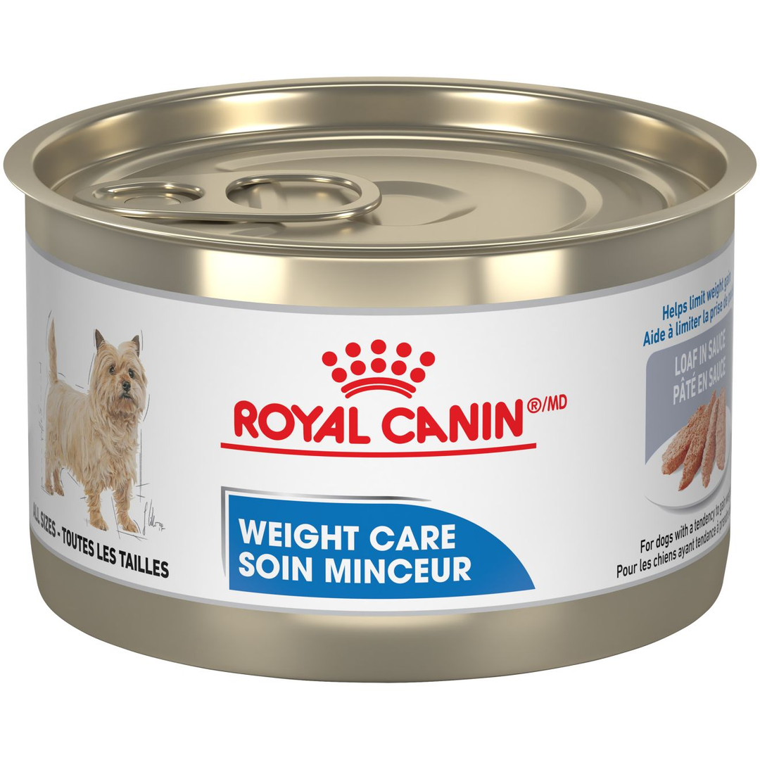 Royal Canin - Chien Soin Minceur Pâté en Sauce - Nourriture Humide pour Chiens