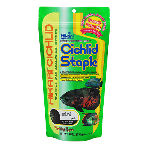 HIKARI Nourriture Cichlid Staple Mini 2oz