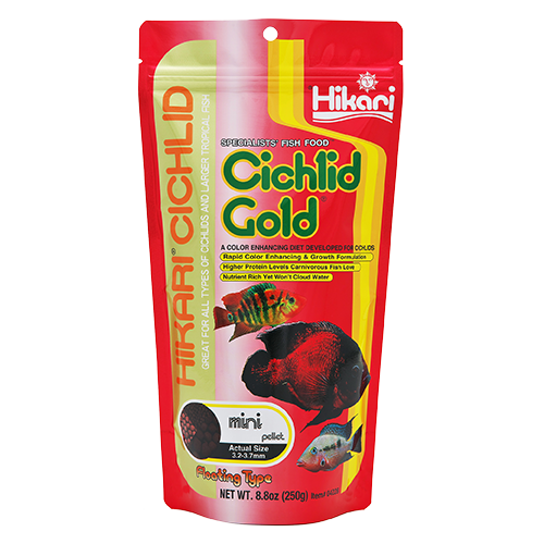 HIKARI Nourriture Cichlid Gold Mini 8.8oz
