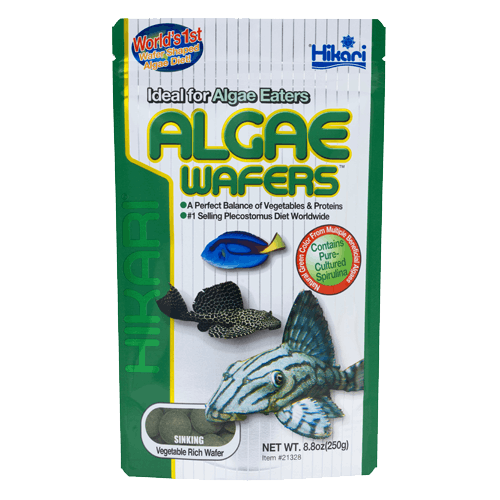 HIKARI Nourriture Algae Wafers 8.80oz