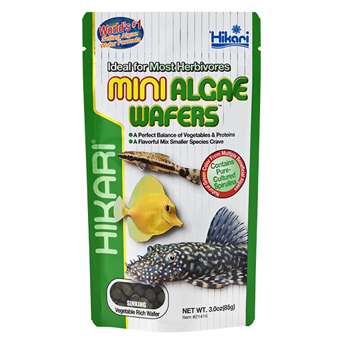 HIKARI Nourriture Mini Algae Wafers 85g