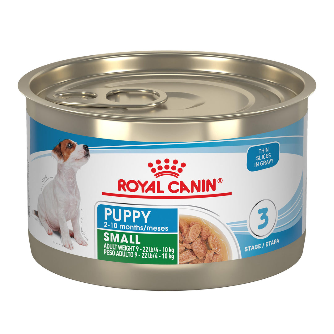 Royal Canin Petit - Fines Tranches en Sauce - Nourriture Humide pour Chiots de Petite Taille