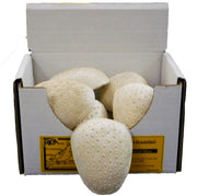 Gâteries Oiseaux Blocs Minéral Vitaminés Gros