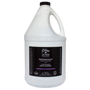 SABINE & GASPARD Shampoing Mauve Aviveur de Couleurs 3.8L