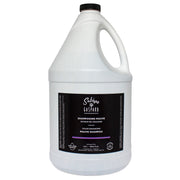 SABINE & GASPARD Shampoing Mauve Aviveur de Couleurs 3.8L