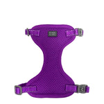 Voir l’image dans la galerie, CLOE CLUZO Chat Harnais Filet S/M Mauve