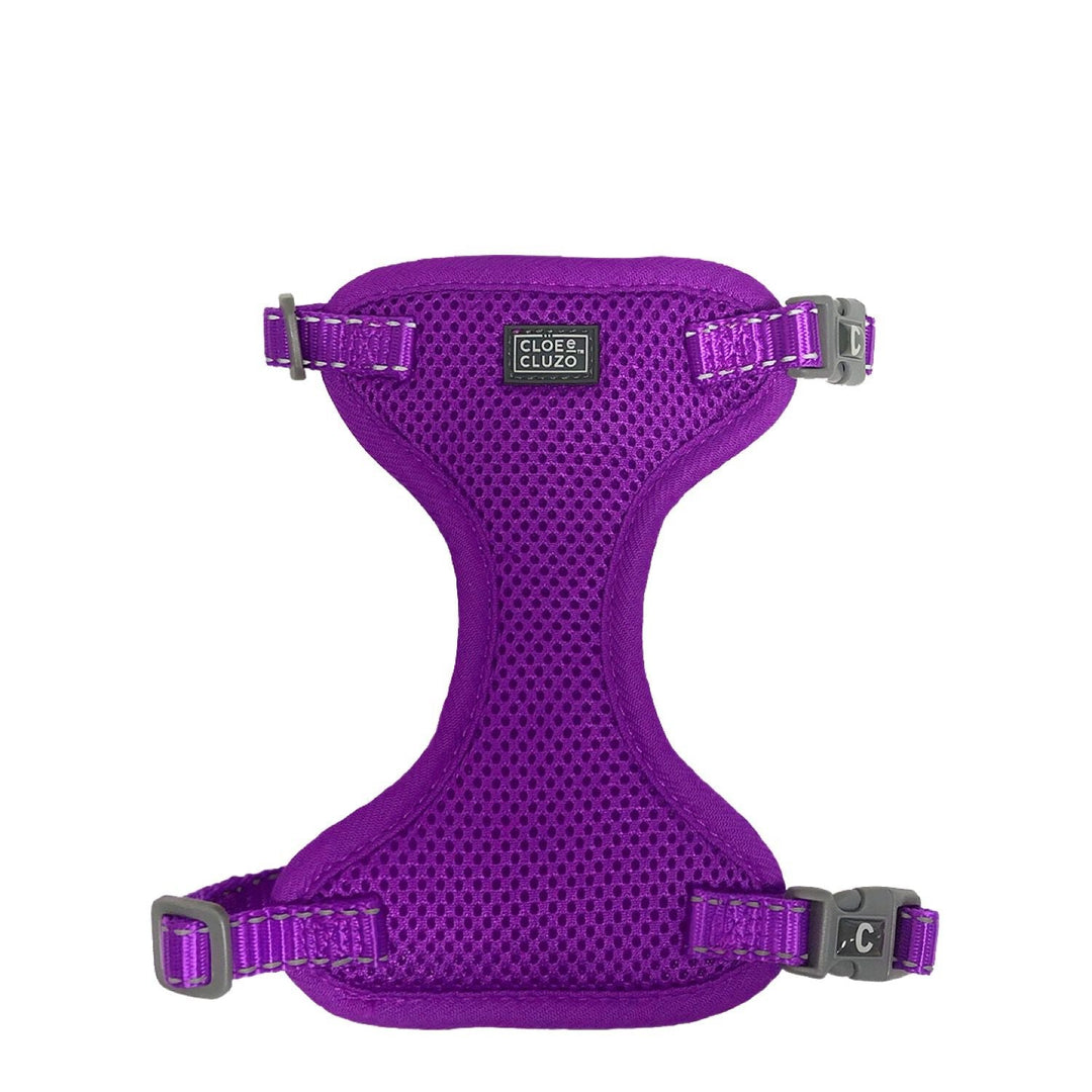 CLOE CLUZO Chat Harnais Filet S/M Mauve