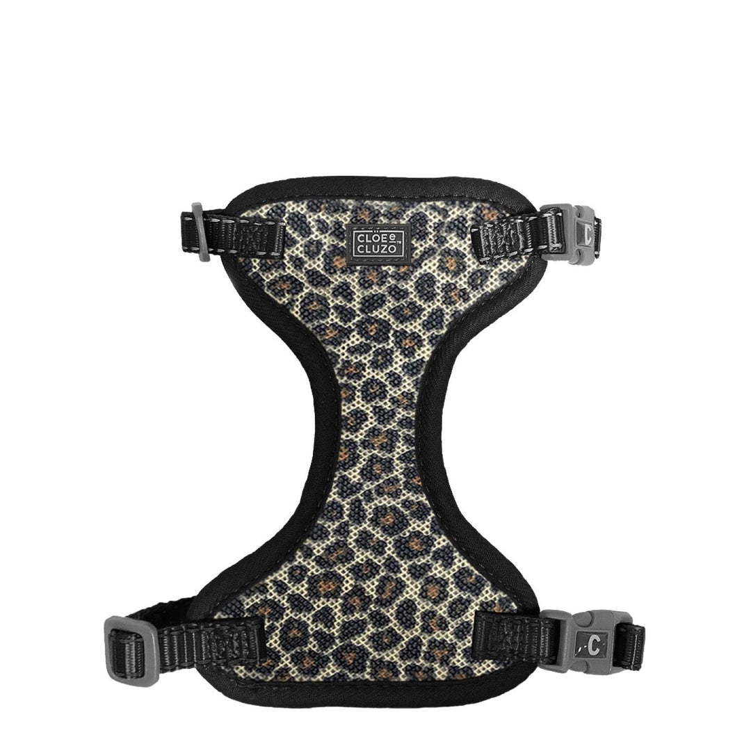 CLOE CLUZO Chat Harnais Filet Motif Léopard S/M