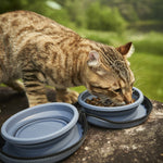 Voir l’image dans la galerie, PAWTEK Bols Pliables Portable en Silicone Bleu
