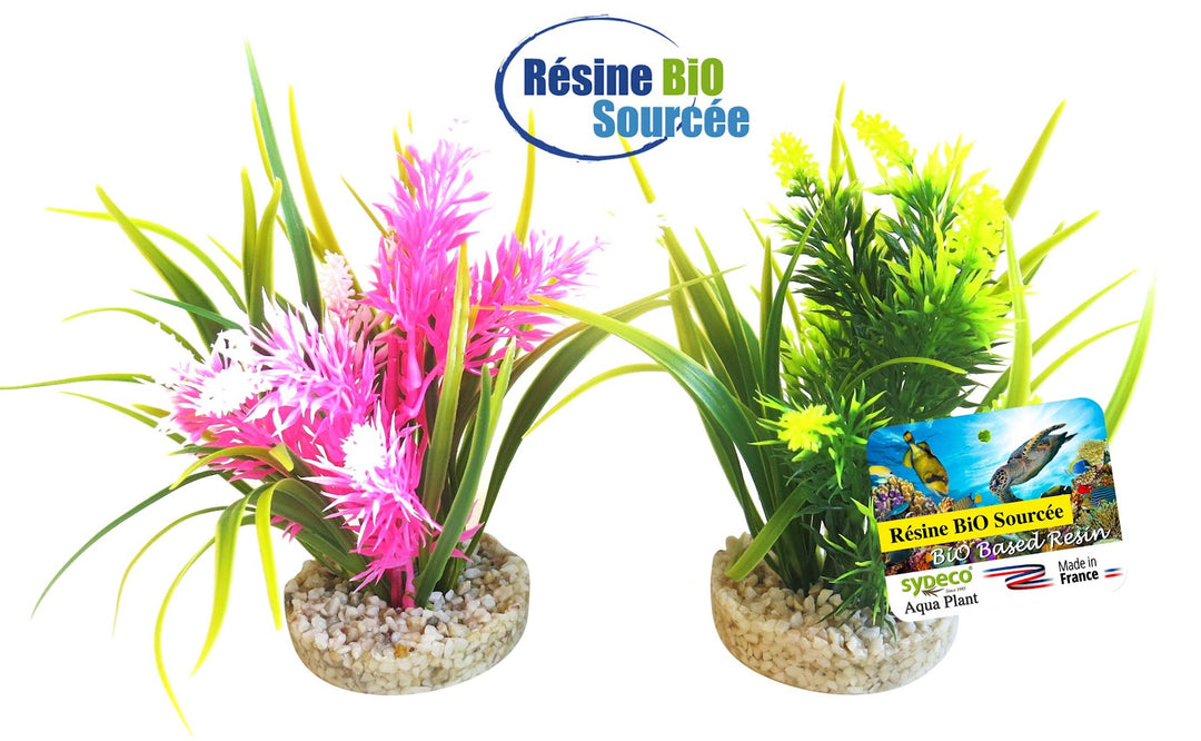 SYDECO Plante Deco Bio Aqua Jungle 15cm pour Aquarium