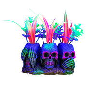*MARINA iGlo Crânes/Plantes 3