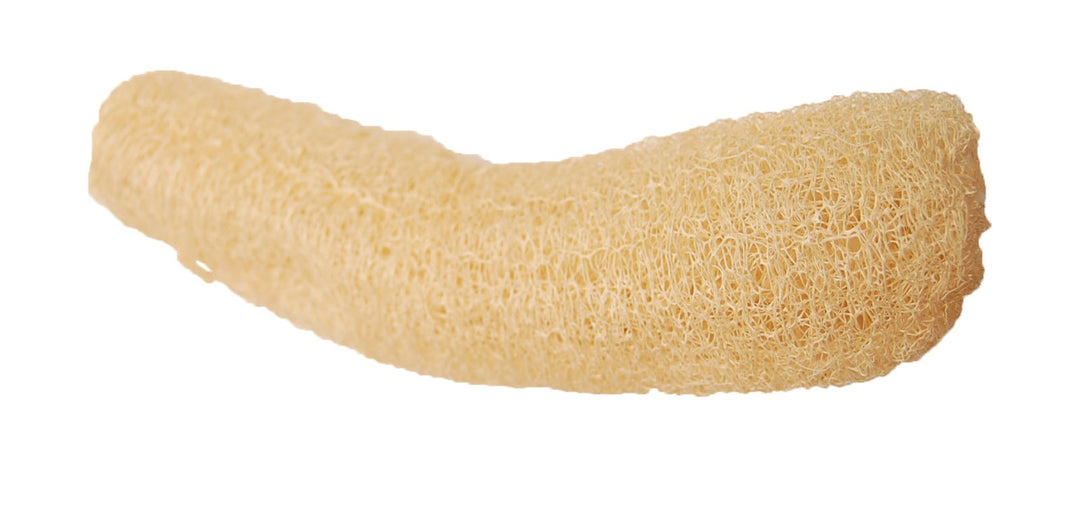 ZOO-MAX Jouet Oiseaux Luffa Naturel 3-4"