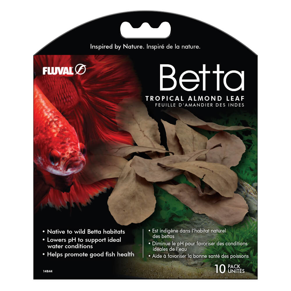 *FLUVAL Betta Feuilles d'Amandier des Indes x10