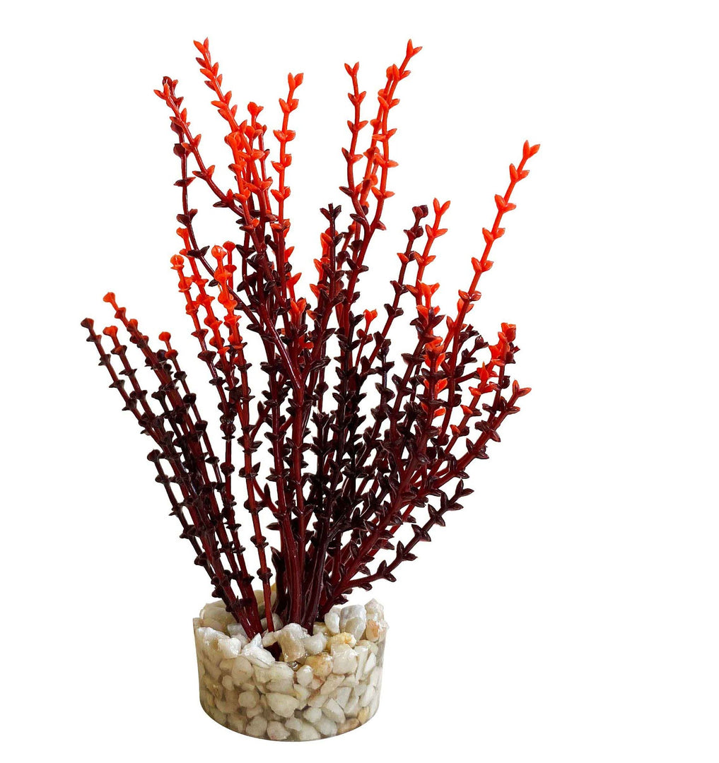 SYDECO Plante Deco Mousse Aqua Nano 8cm pour Aquarium