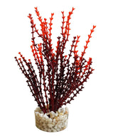 SYDECO Plante Deco Mousse Aqua Nano 8cm pour Aquarium