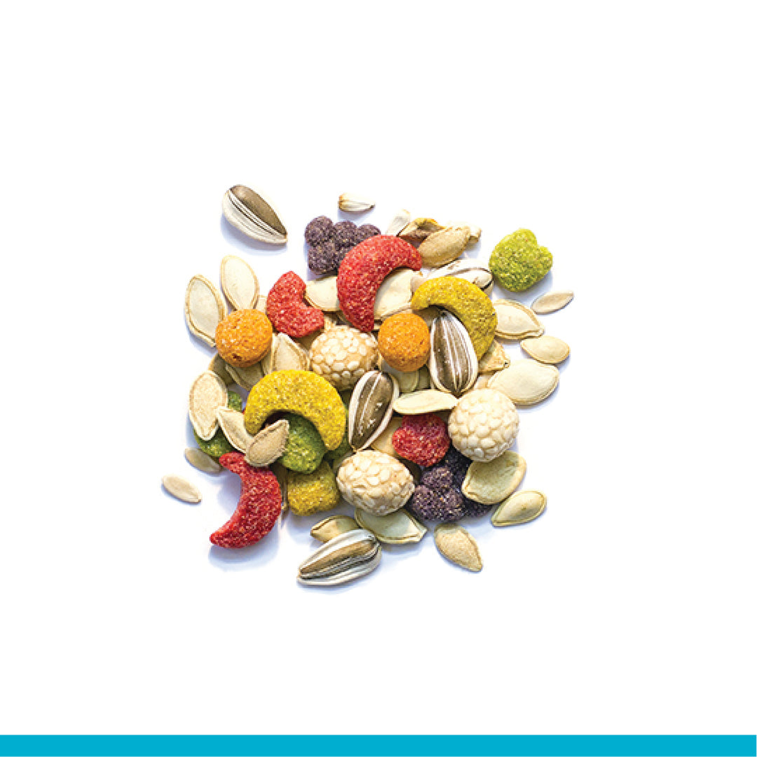 ZUPREEM Sensible Seed Nourriture M/G Oiseaux 2lb