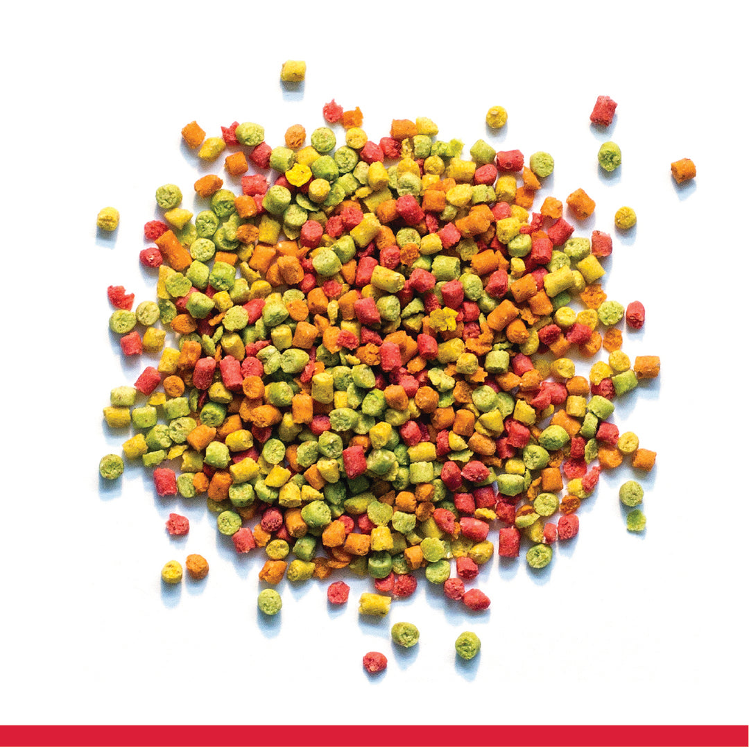 ZUPREEM Fruitblend Nourriture Petits Oiseaux 2lb