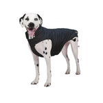 Voir l’image dans la galerie, SHEDROW Brentwood Manteau Matelassé Noir XXS